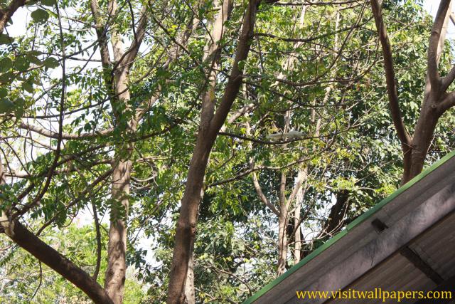 waphukaew11_032