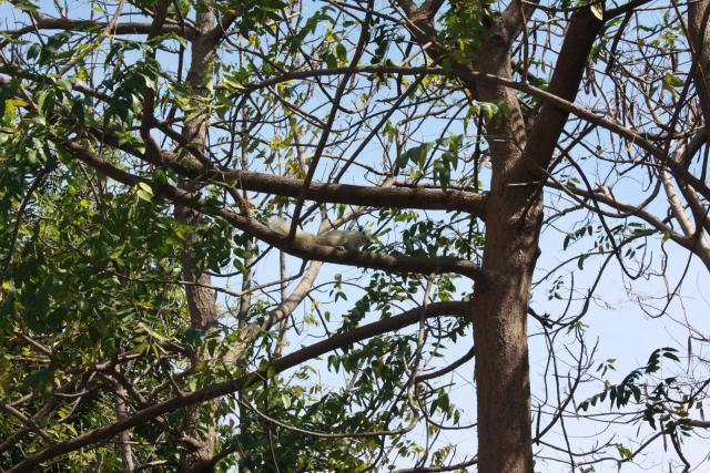 waphukaew11_036