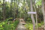 waphukaew11_080