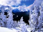 mountains_204