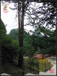 temple_150