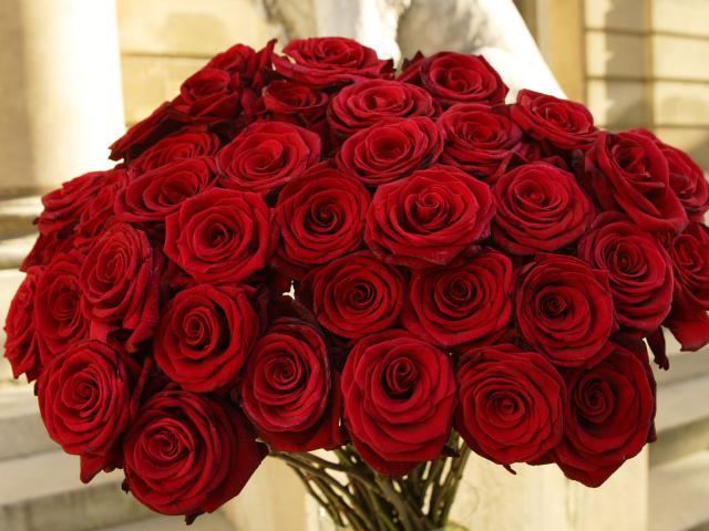 Bouquet of Red Roses