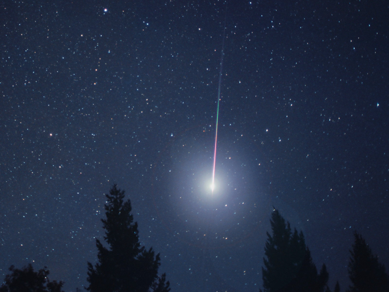 Light in the Forest, Leonid Meteor Shower