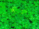  Luck