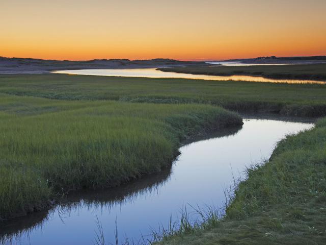 Salt Marsh at Sunrise, Sandwich, Cape Cod, Massachusetts