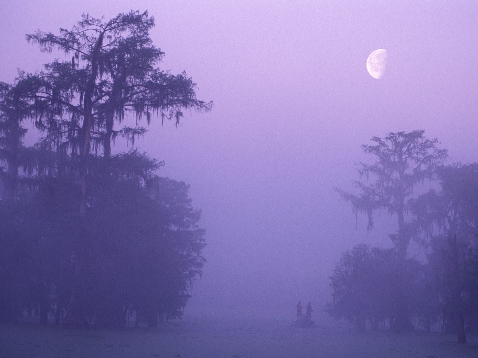 Secret Fishing Hole, Louisiana