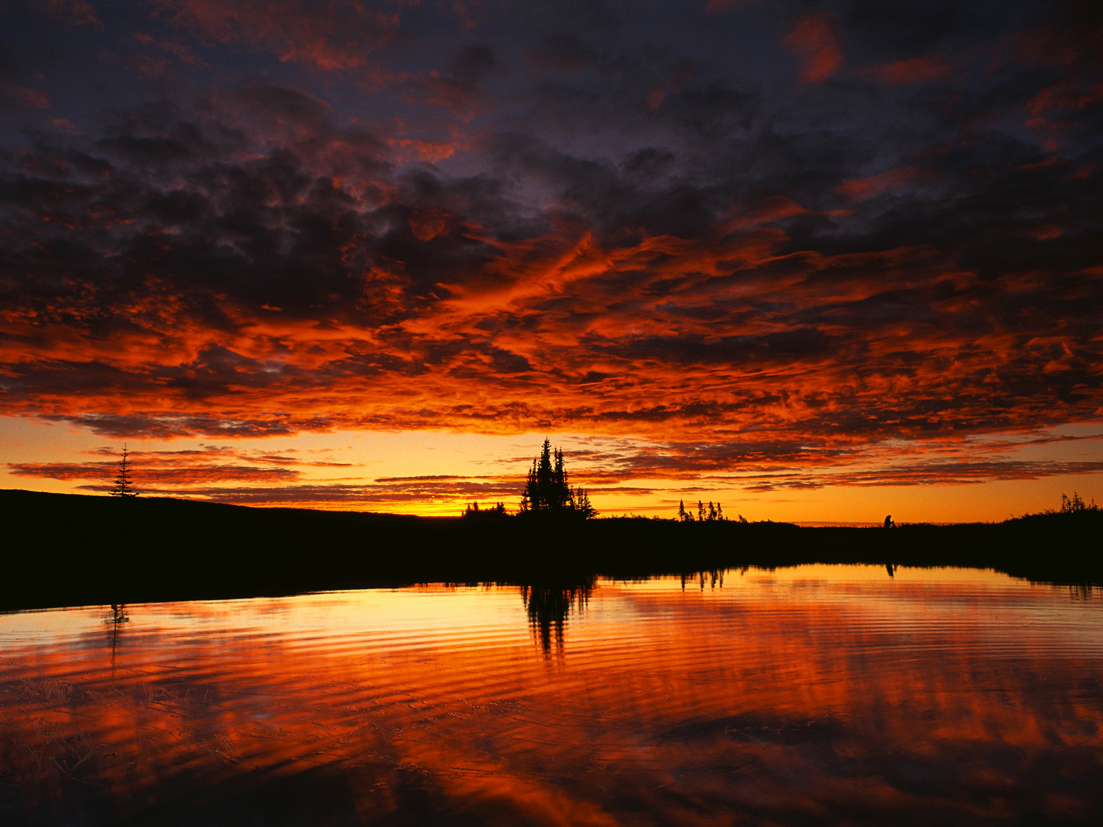 Sky Reflection on a Lake, Northwest Territories
