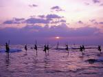 Stilt Fishermen, Weligama, Sri Lanka