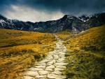 Stone Path, Snowdonia National Park, Wales