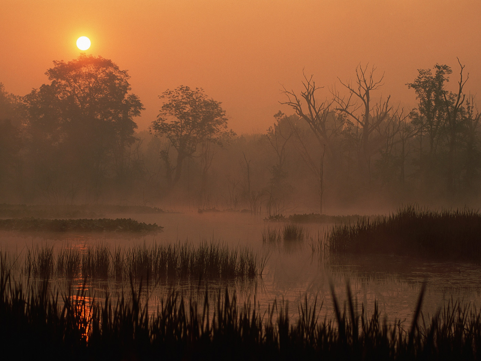 Sunrise Over the Cuyahoga River, Summit County, Ohio