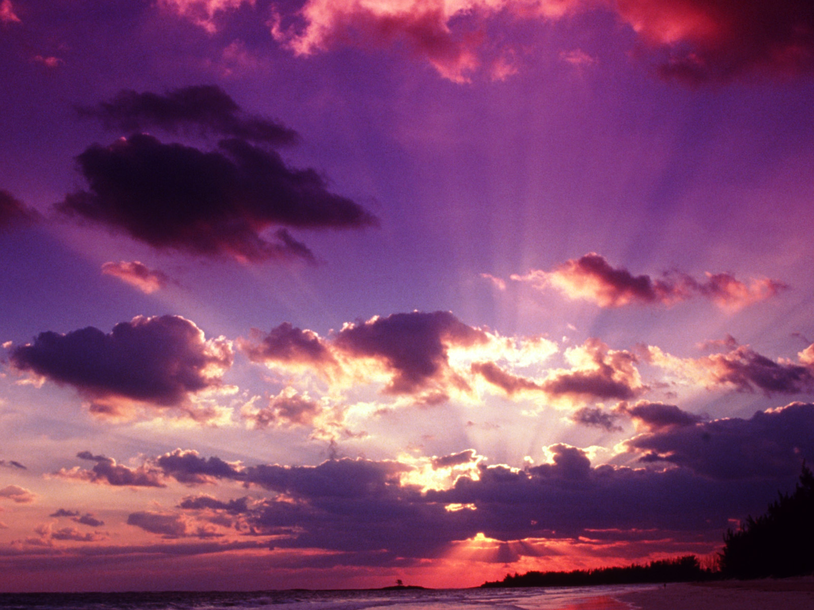 Violet Sunset