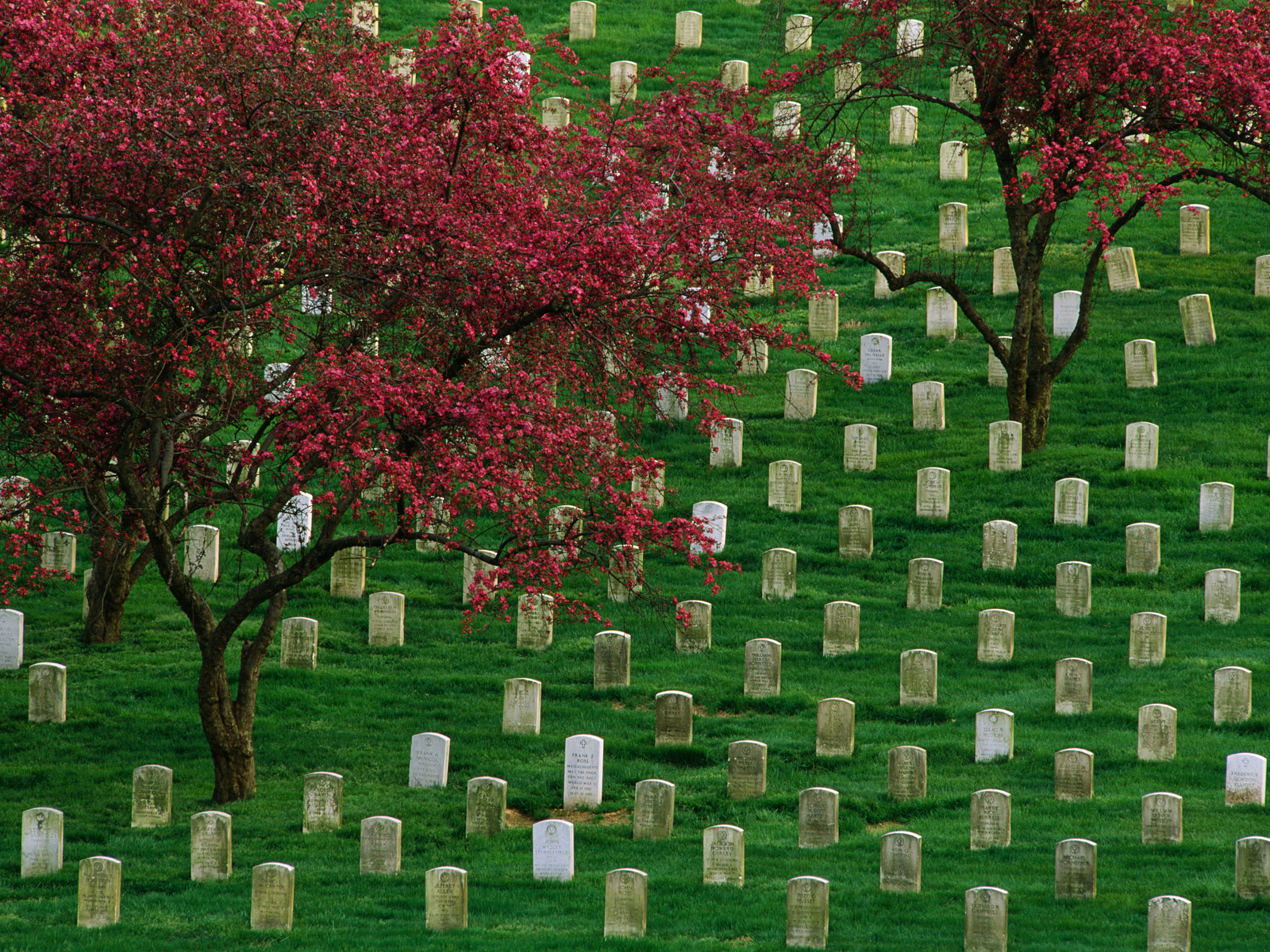 Arlington National Cemetery, Virginia