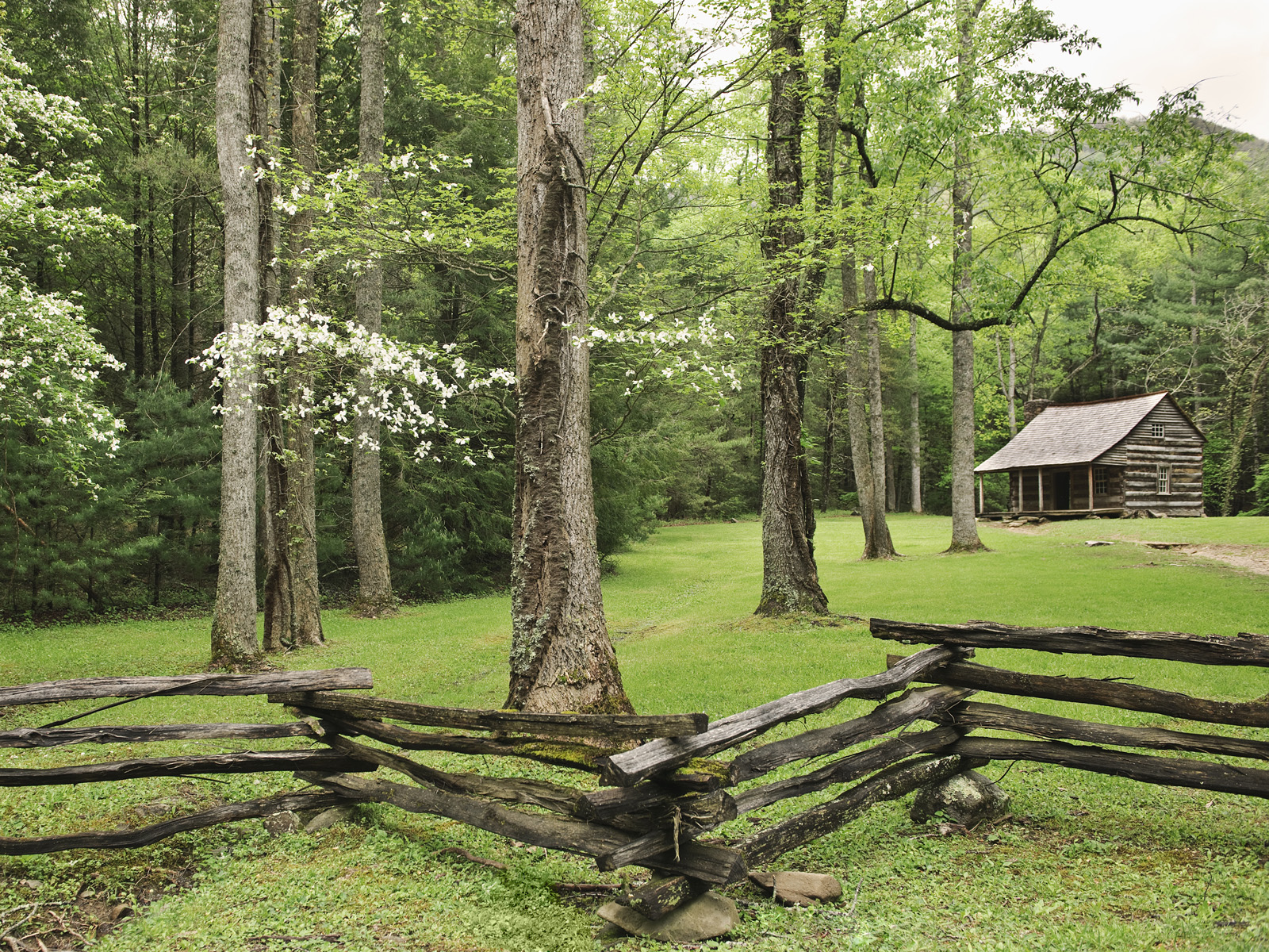Carter Shields Cabin in Spring, Great Smoky Mountains National Park, Tennessee