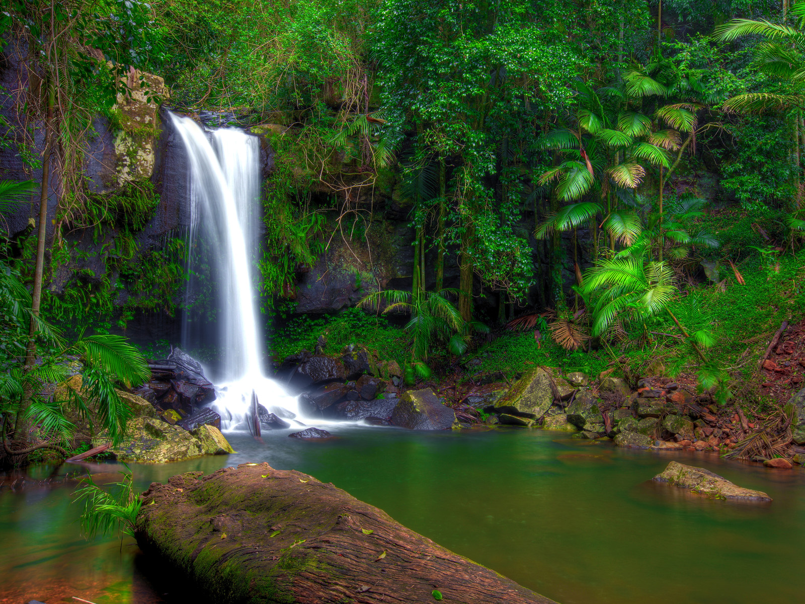 Curtis Falls, Tamborine Mountain, Queensland, Australia