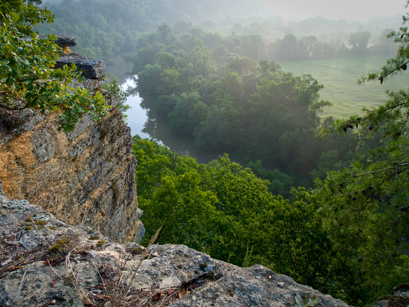 Morning Fog, Narrows of the Harpeth State Park, Tennessee