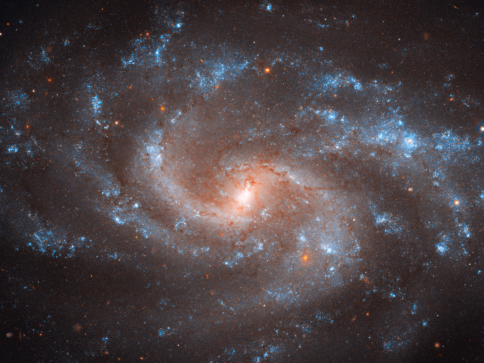 NGC 5584 Spiral Galaxy