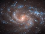 NGC 5584 Spiral Galaxy