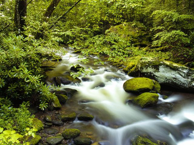 Roaring Fork, Great Smoky Mountains, Tennessee