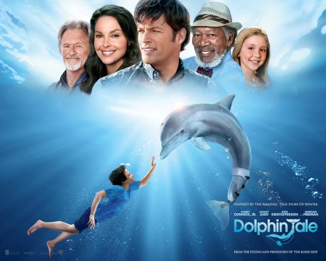 dolphintale