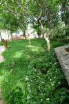 waphukaew11_123