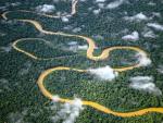 Aerial View of a Meandering River Manu National Park Peru