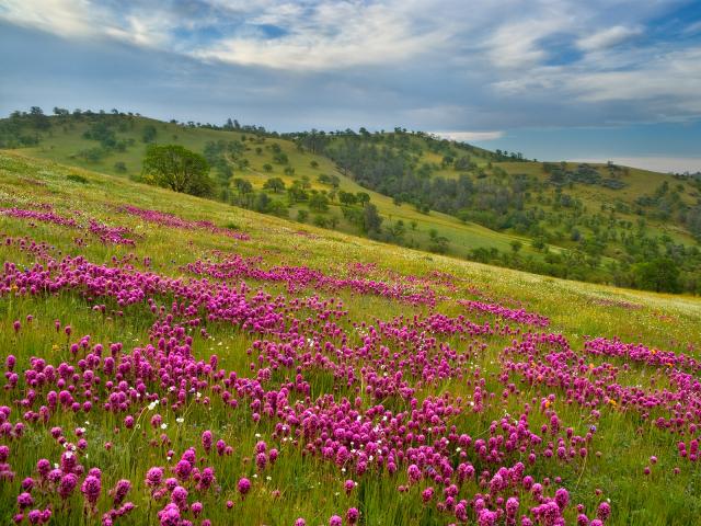 s Clover Bakersfield California