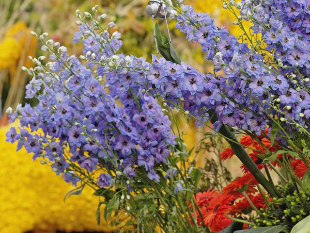Flower Arrangement Amsterdam The Netherlands