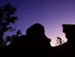 Mountain Biking Near Smith Rock Oregon
