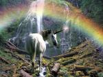 Mystical Waterfall