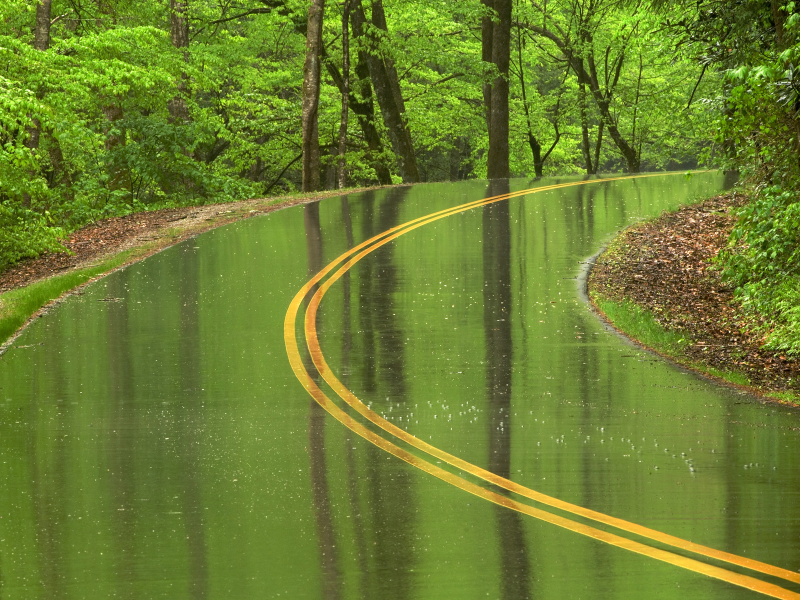 Slippery Pavement Tennessee