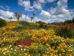 West Coast National Park Langebaan South Africa