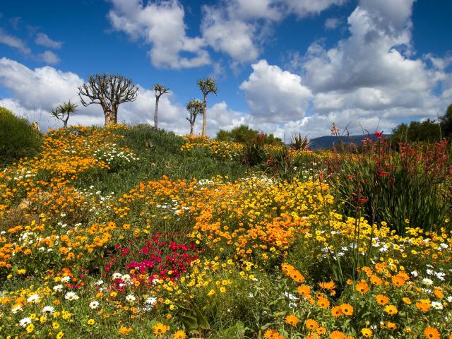West Coast National Park Langebaan South Africa