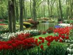 Woods and Stream Keukenhof Gardens The Netherlands