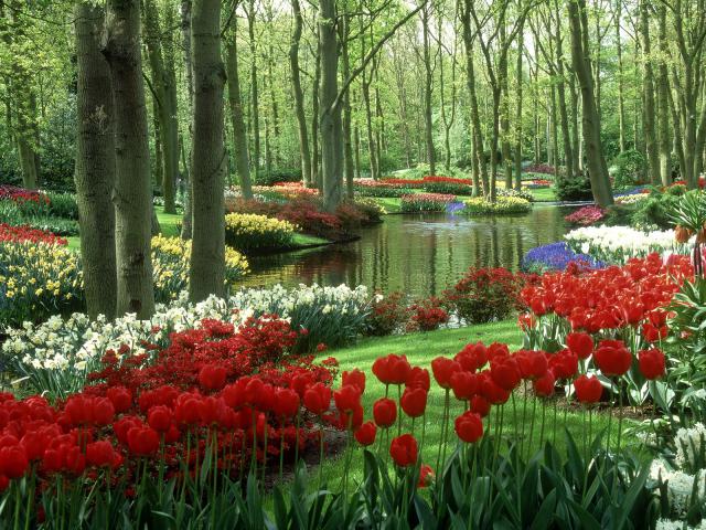 Woods and Stream Keukenhof Gardens The Netherlands