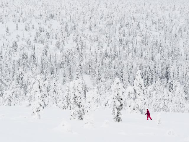Cross Country Skiing Finland