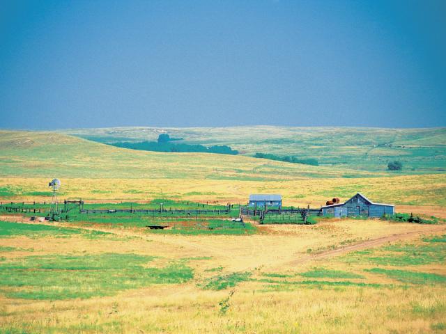 Grassland Kansas