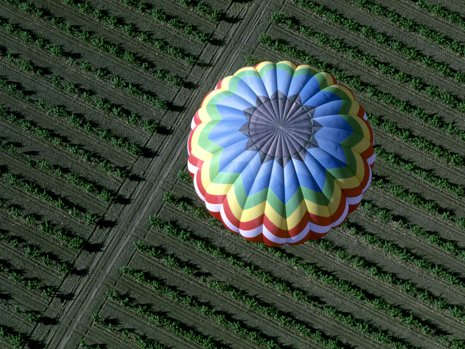 Hot Air Balloon From Above