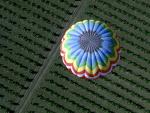Hot Air Balloon From Above