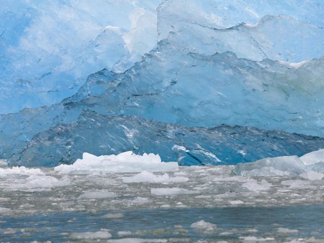 Icebergs Endicott Arm Alaska