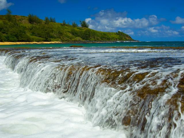 a Reef Kauai Hawaii