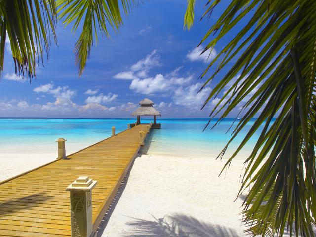 Peaceful Paradise Maldives