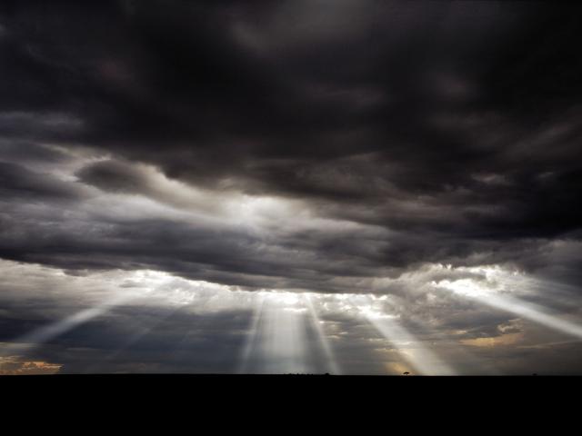 Shining Light on the Savannah