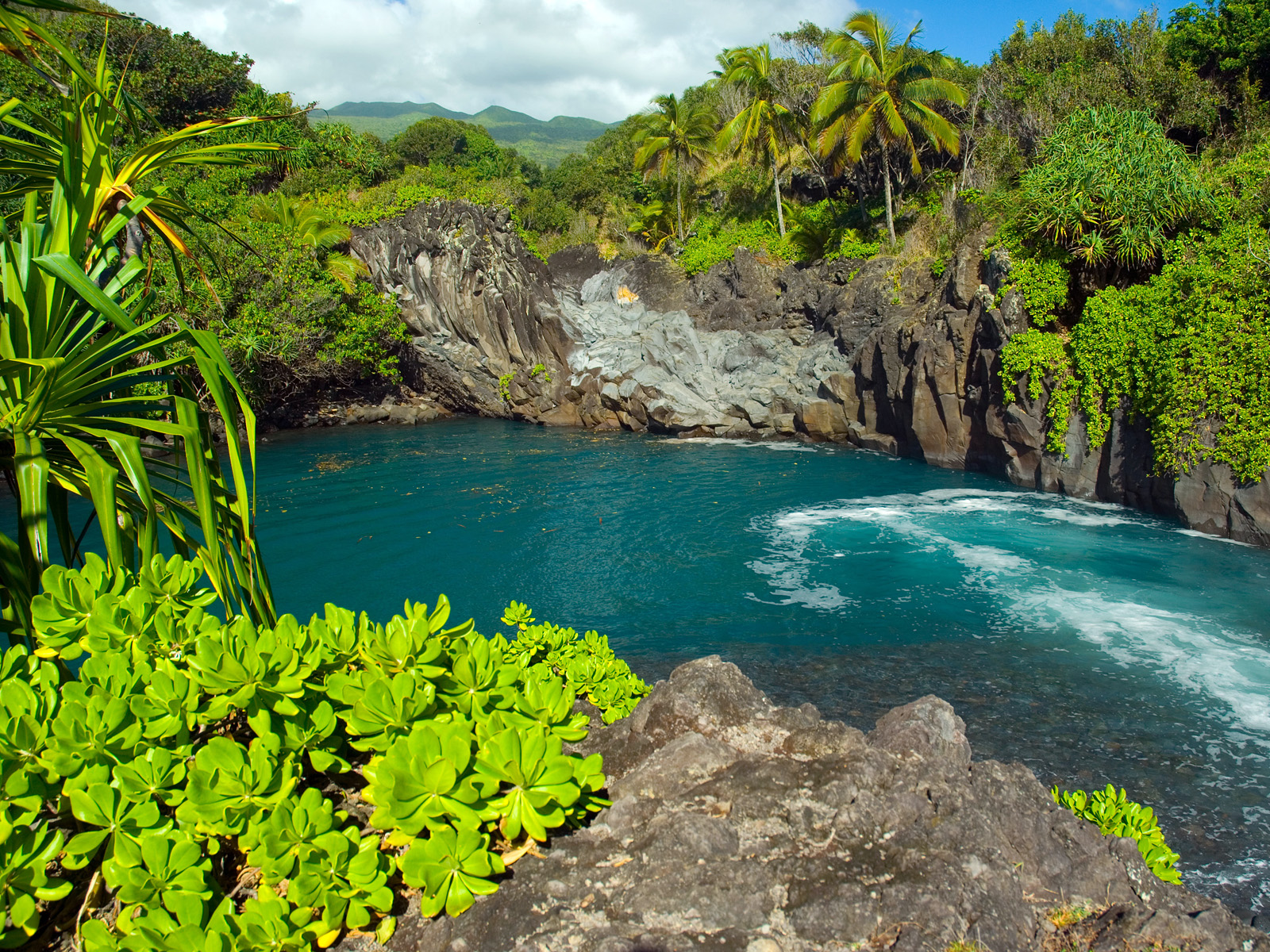 Venice Falls Maui Hawaii
