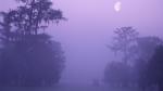 Secret Fishing Hole Louisiana