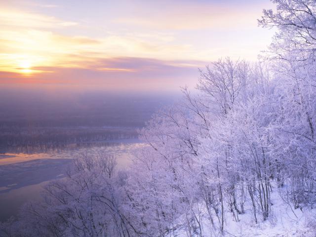 Icy Trees At Dawn Upper Mississippi National Wildlife Refuge Iowa