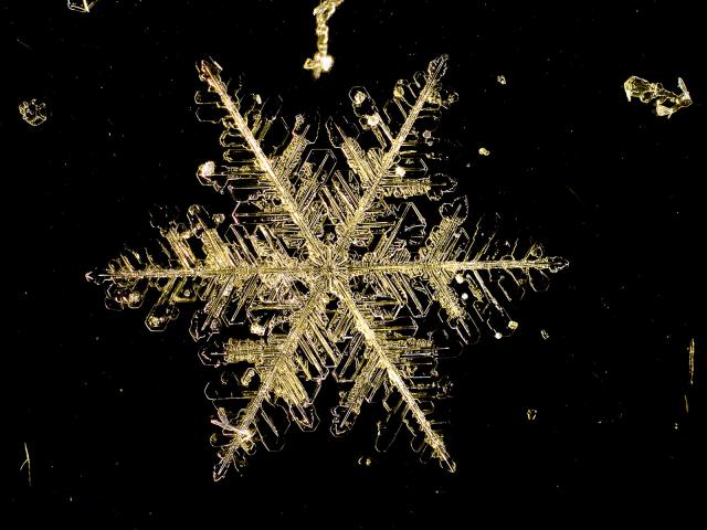 Microscopic View of a Snowflake Manitoba Canada