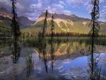 Ottertail Range Yoho National Park British Columbia Canada