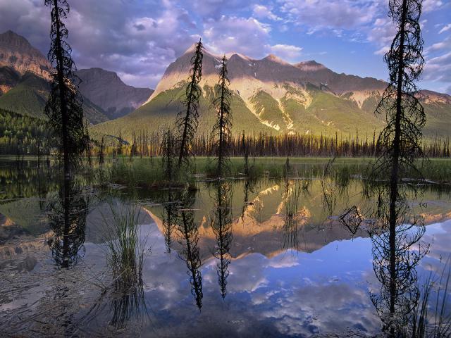 Ottertail Range Yoho National Park British Columbia Canada