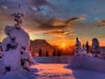 Paradise Sunset Mount Rainier Washington