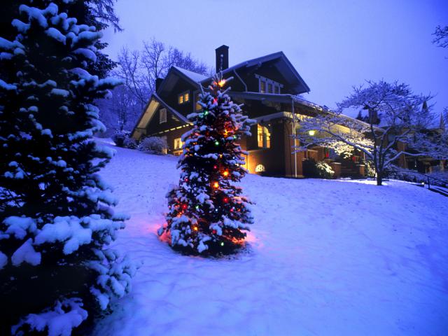 Snow Covered Christmas Tree Brookville Historic District Pennsylvania